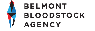 Belmont Bloodstock Agency